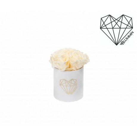 XS LOVE VALGE SAMETKARP CHAMPAGNE ROOSIDEGA