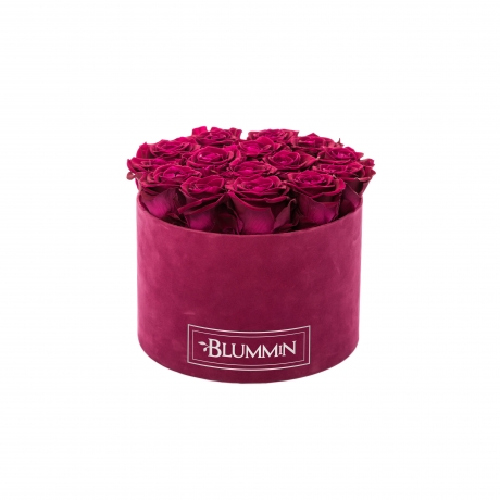 LARGE BLUMMiN FUKSIA SAMETKARP CHERRY KAUASÄILIVATE ROOSIDEGA