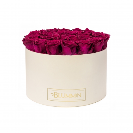 XL BLUMMiN - CREAM BOX WITH DARK RED ROSES