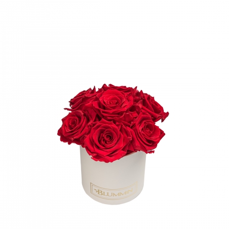 BOUQUET WITH 7 ROSES - MIDI CREAMY BOX WITH VIBRANT RED ROSES