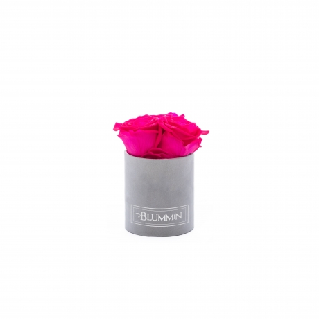 XS BLUMMiN - LIGHT GREY VELVET BOX WITH HOT PINK ROSES