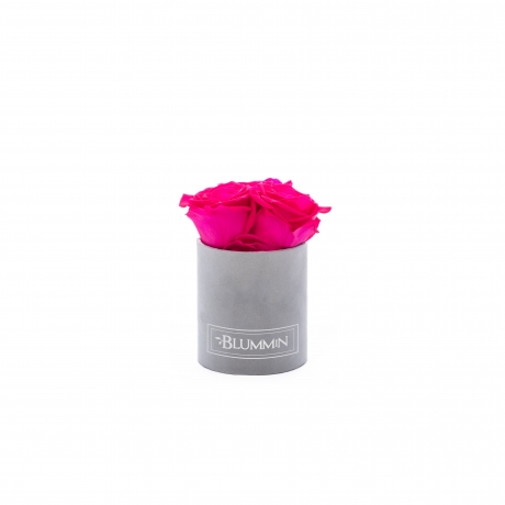 XS BLUMMIN - LIGHT GREY VELVET BOX WITH HOT PINK ROSES