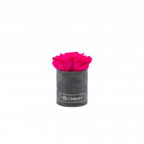 XS BLUMMIN - DARK GREY VELVET BOX WITH HOT PINK ROSES