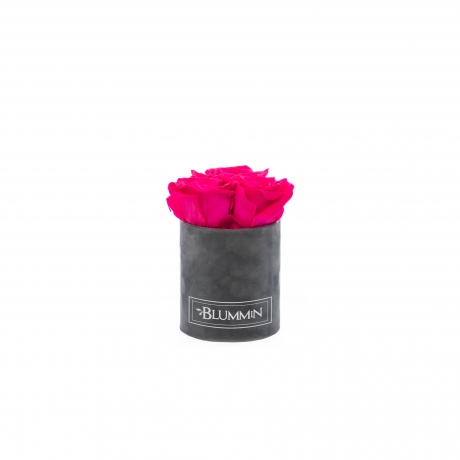 XS BLUMMiN - DARK GREY VELVET BOX WITH HOT PINK ROSES