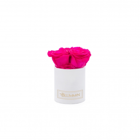 XS BLUMMIN - WHITE BOX WITH HOT PINK ROSES