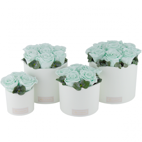 WHITE CERAMIC POT WITH MINT ROSES AND EUCALYPTUS