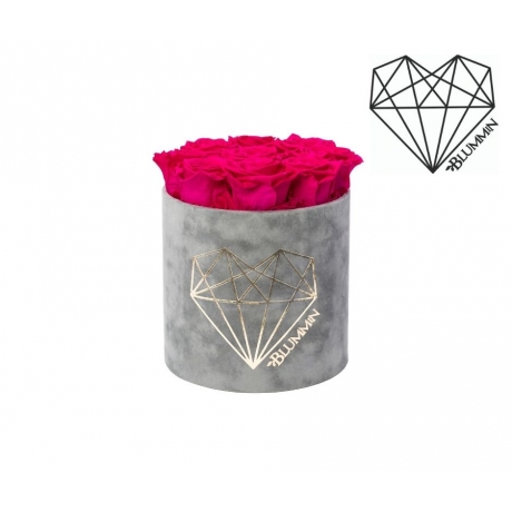 MEDIUM LOVE - LIGHT GREY VELVET BOX WITH HOT PINK ROSES