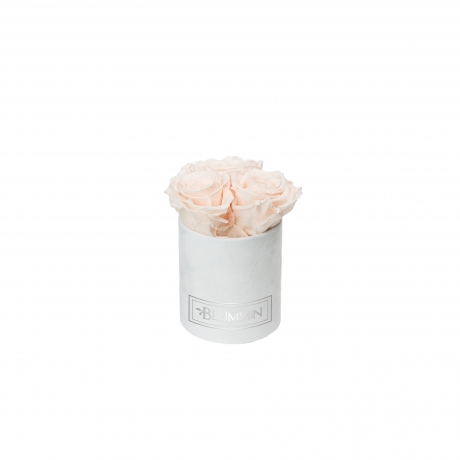 XS BLUMMiN - WHITE VELVET BOX WITH ICE PINK ROSES