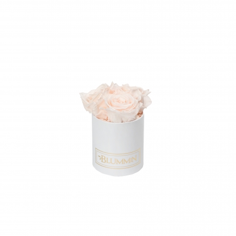 XS BLUMMiN - WHITE BOX WITH ICE PINK ROSES