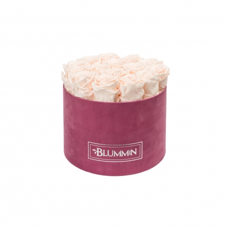 LARGE BLUMMiN - LIGHT PURPLE VELVET BOX WITH ICE PINK ROSES