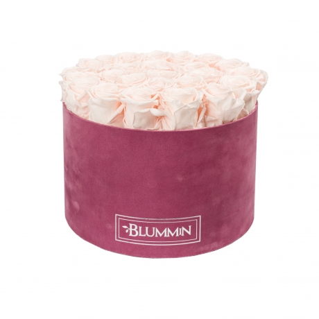 XL BLUMMiN - LIGHT PURPLE VELVET BOX WITH ICE PINK ROSES