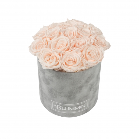  BOUQUET WITH 15 ROSES - MEDIUM BLUMMIN LIGHT GREY VELVET BOX WITH ICE PINK ROSES