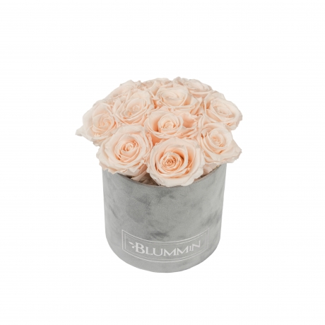 BOUQUET WITH 11 ROSES - SMALL BLUMMiN LIGHT GREY VELVET BOX WITH ICE PINK ROSES