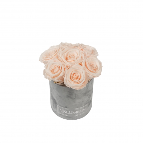 BOUQUET WITH 7 ROSES - MIDI LIGHT GREY VELVET BOX WITH ICE PINK ROSES