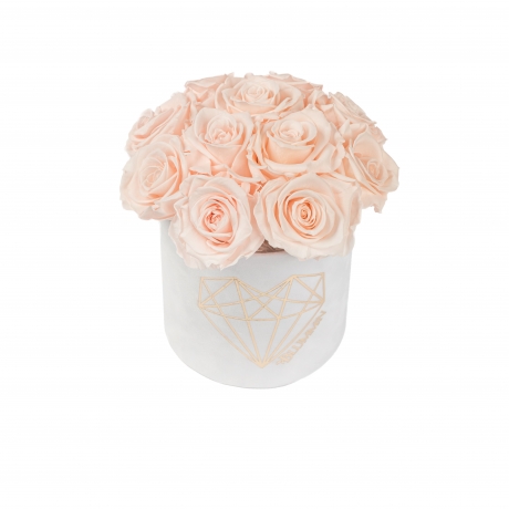  BOUQUET WITH 11 ROSES - SMALL LOVE WHITE VELVET BOX WITH ICE PINK ROSES