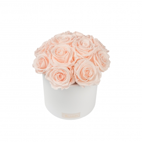 BOUQUET WITH 11 ROSES - WHITE CERAMIC POT WITH ICE PINK ROSES