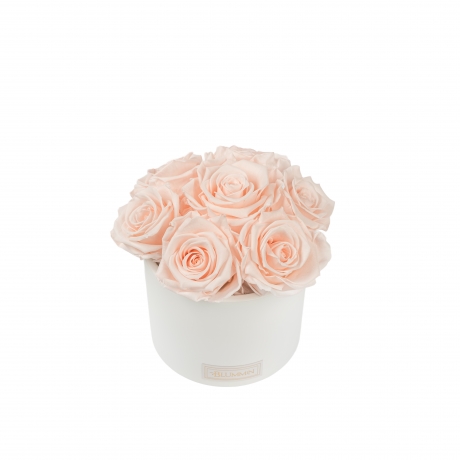 BUKETT 7 ROOSIGA - VALGE KERAAMIKA ICE PINK ROOSIDEGA