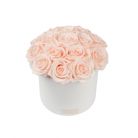 BOUQUET WITH 15 ROSES - WHITE CERAMIC POT WITH ICE PINK ROSES