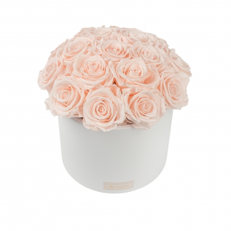 BOUQUET WITH 17 ROSES - WHITE CERAMIC POT WITH ICE PINK ROSES