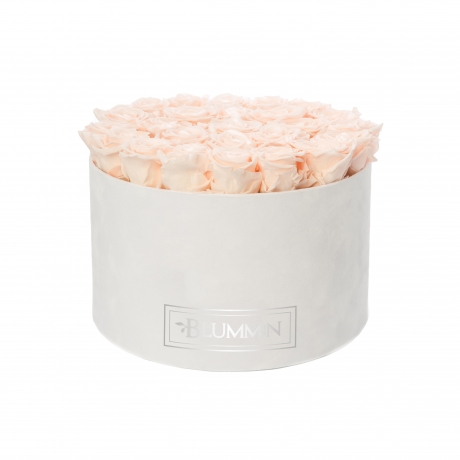 EXTRA LARGE WHITE VELVET BOX WITH ICE PINK ROSES