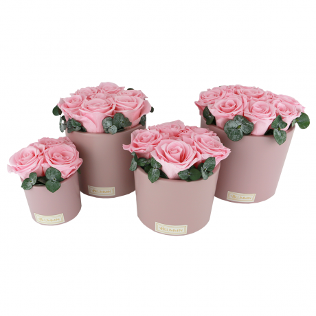 PINK CERAMIC POT WITH BRIDAL PINK ROSES AND WITH EUCALYPTUS