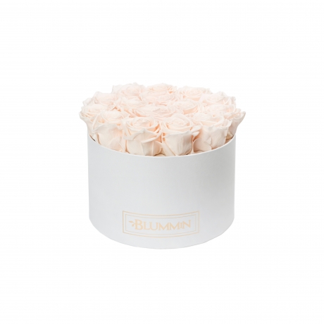 LARGE BLUMMiN - WHITE BOX WITH ICE PINK ROSES