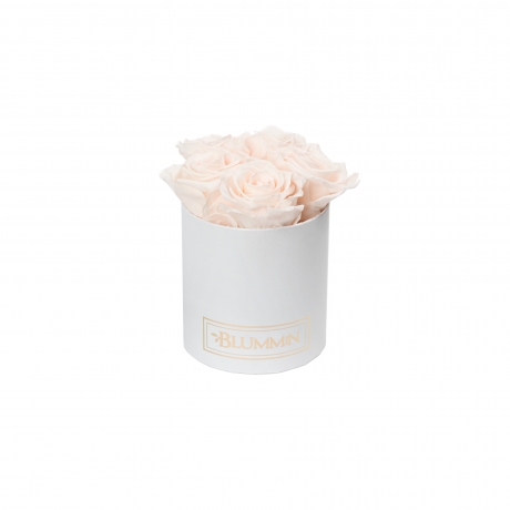 MIDI BLUMMiN - WHITE BOX WITH ICE PINK ROSES