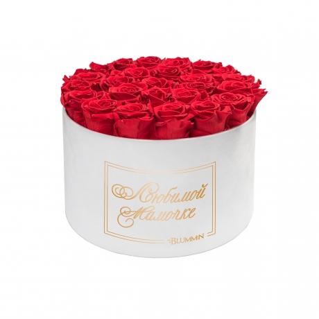 ЛЮБИМОЙ МАМОЧКЕ - EXTRA LARGE WHITE VELVET BOX WITH VIBRANT RED ROSES