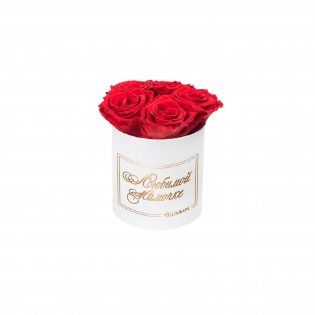 -15% ЛЮБИМОЙ МАМОЧКЕ - MIDI WHITE BOX WITH VIBRANT RED ROSES