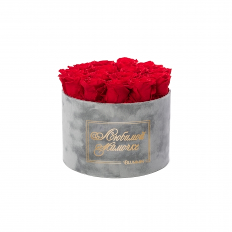 ЛЮБИМОЙ МАМОЧКЕ - LARGE (17 ROSES) LIGHT GREY VELVET BOX WITH VIBRANT RED ROSES