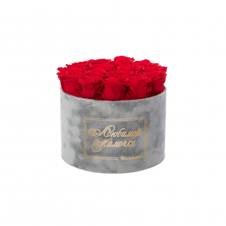 -20% ЛЮБИМОЙ МАМОЧКЕ - LARGE (17 ROSES) LIGHT GREY VELVET BOX WITH VIBRANT RED ROSES