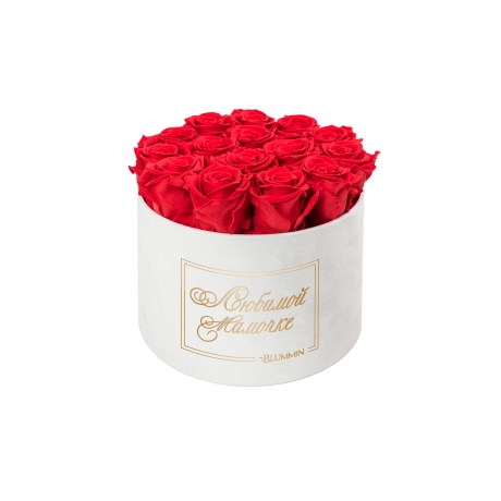 ЛЮБИМОЙ МАМОЧКЕ - LARGE (17 ROSES) WHITE VELVET BOX WITH VIBRANT RED ROSES
