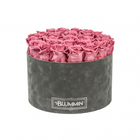 -20% XL BLUMMiN TUMEHALL SAMETKARP VINTAGE PINK KAUASÄILIVATE ROOSIDEGA