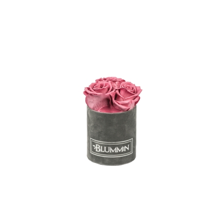 XS DARK GREY VELVET BOX WITH VINTAGE PINK ROSES