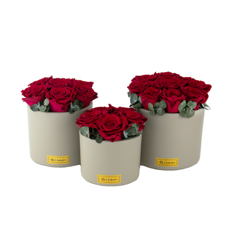 BEIGE CERAMIC POT WITH DARK RED ROSES