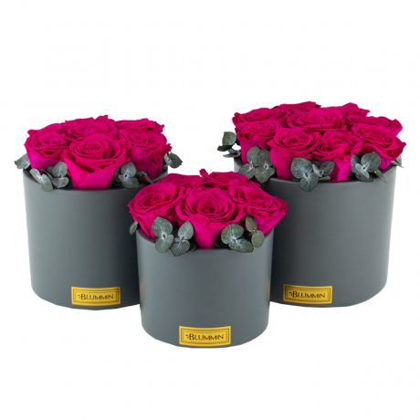 DARK GREY CERAMIC POT WITH HOT PINK ROSES AND EUCALYPTUS