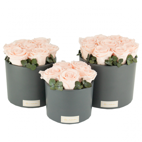 DARK GREY CERAMIC POT WITH ICE PINK ROSES AND EUCALYPTUS