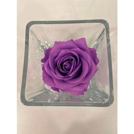 GLASS VASE WITH VIOLET VAIN ROSE AND CRYSTALS (10x10 cm)