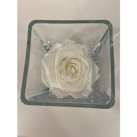 GLASS VASE WITH WHITE ROSE AND CRYSTALS (10x10 cm)