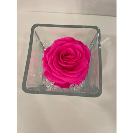 GLASS VASE WITH HOT PINK ROSE AND CRYSTALS (10x10 cm)