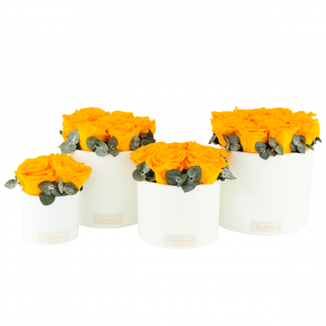 WHITE CERAMIC POT WITH YELLOW ROSES AND EUCALYPTUS
