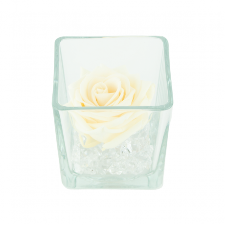 GLASS VASE WITH CHAMPAGNE ROSE AND CRYSTALS (10x10 cm)