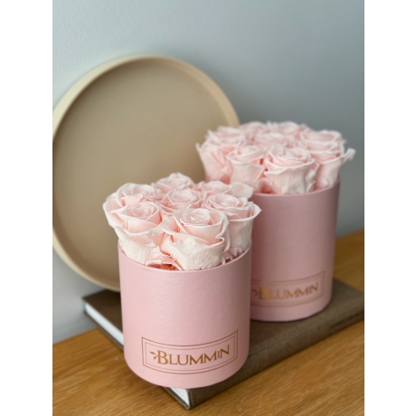  MEDIUM BLUMMIN LIGHT PINK BOX WITH ICE PINK ROSES