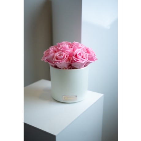 BOUQUET WITH 11 ROSES - WHITE CERAMIC POT WITH BRIDAL PINK ROSES