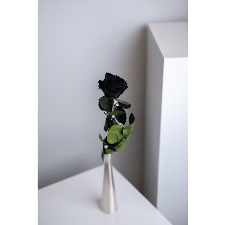 Спящие розы со стеблем - BLACK (25 cm)