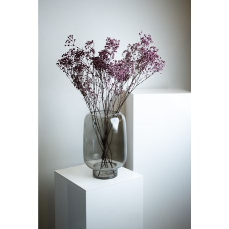 PRESERVED GYPSOPHILA - LILAC