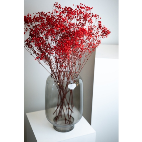 PRESERVED GYPSOPHILA - RED