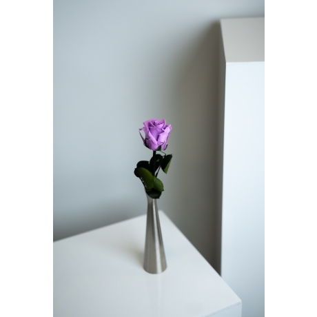Спящие розы со стеблем - VIOLET VAIN (25 cm)