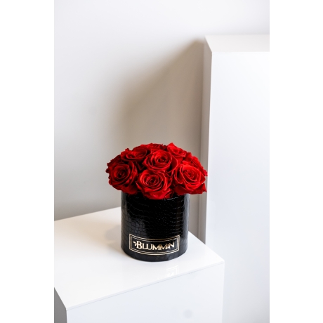  BOUQUET WITH 11 ROSES - SMALL BLACK LEATHER BOX WITH VIBRANT RED ROSES