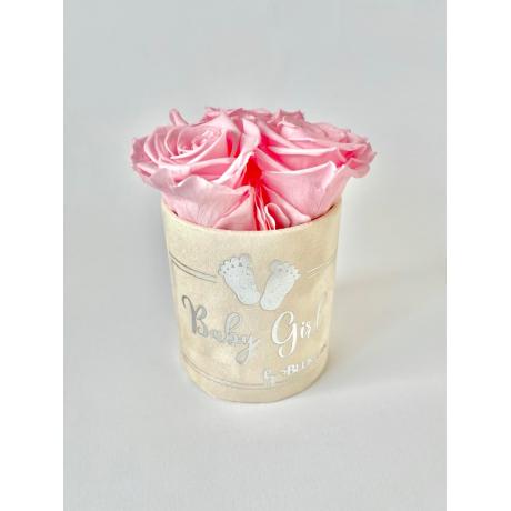 BABY GIRL - NUDE VELVET BOX WITH 3 WHITE ROSES 